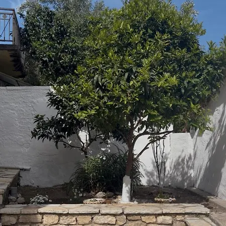 Julia's House Σπίτι διακοπών *